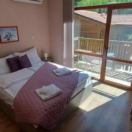 Mini Complex Rilski Terasi 3*