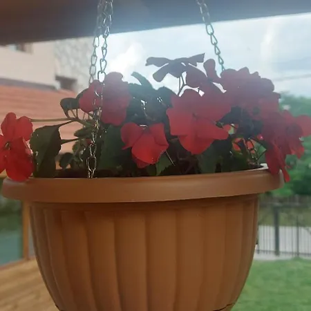 Gasthof Mini Complex Rilski Terasi