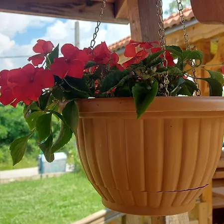 Mini Complex Rilski Terasi 3* Saparewa Banja