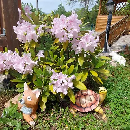 Mini Complex Rilski Terasi 3*