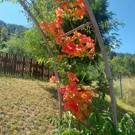 Gasthof Mini Complex Rilski Terasi Saparewa Banja