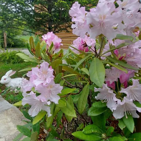 Mini Complex Rilski Terasi