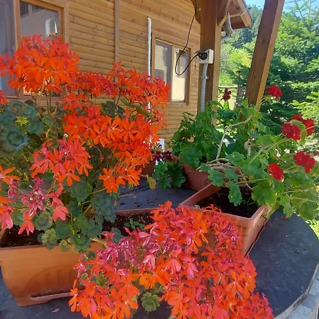 Mini Complex Rilski Terasi Saparewa Banja