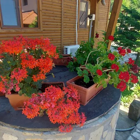 Mini Complex Rilski Terasi Gasthof 3*