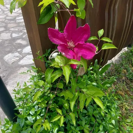 Mini Complex Rilski Terasi Gasthof