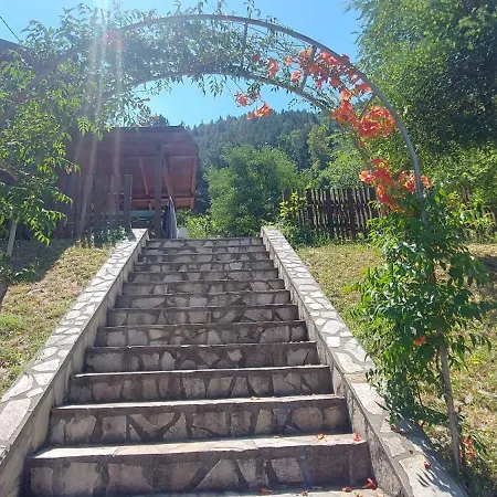 Gasthof Mini Complex Rilski Terasi Saparewa Banja