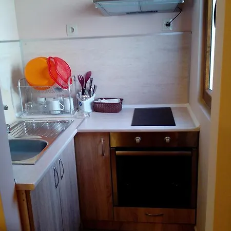 Gasthof Mini Complex Rilski Terasi