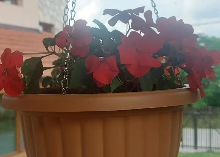 Къща за гости мини комплекс рилски тераси