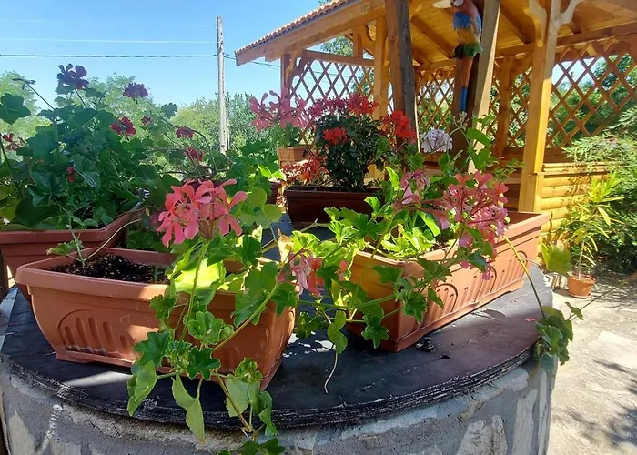 мини комплекс рилски тераси Къща за гости 3*