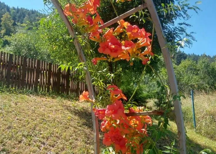 Къща за гости мини комплекс рилски тераси Сапарева Баня