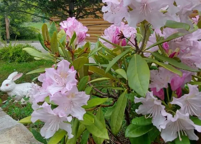 мини комплекс рилски тераси