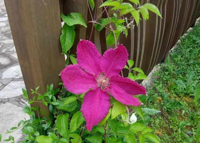 Къща за гости мини комплекс рилски тераси 3*