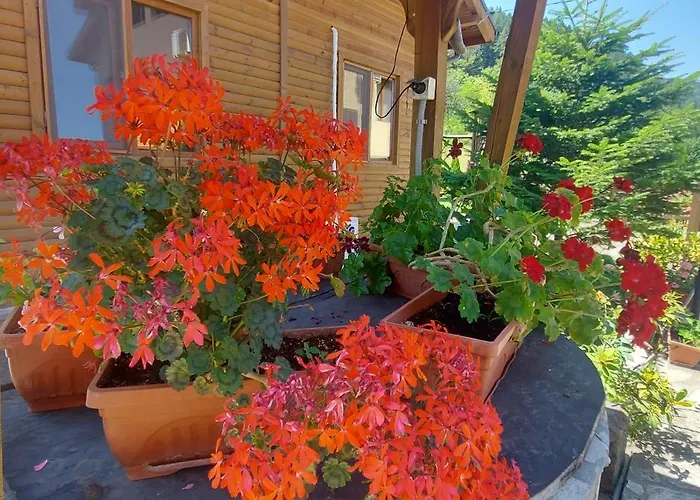 мини комплекс рилски тераси Сапарева Баня