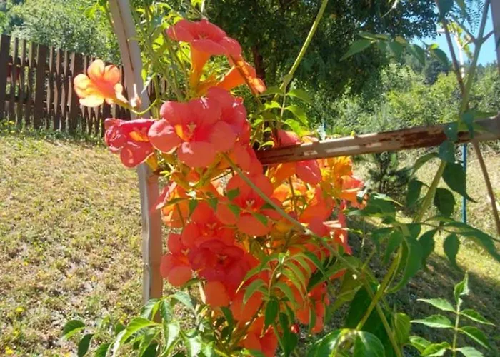 мини комплекс рилски тераси 3* Сапарева Баня