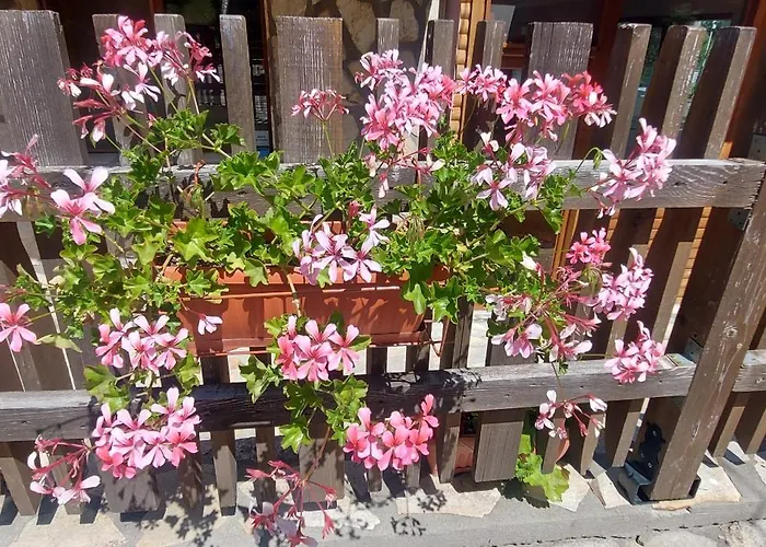 мини комплекс рилски тераси Къща за гости Сапарева Баня