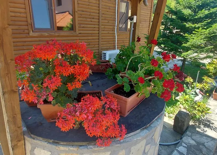 мини комплекс рилски тераси Къща за гости 3*