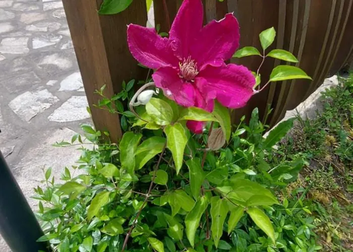 мини комплекс рилски тераси Къща за гости