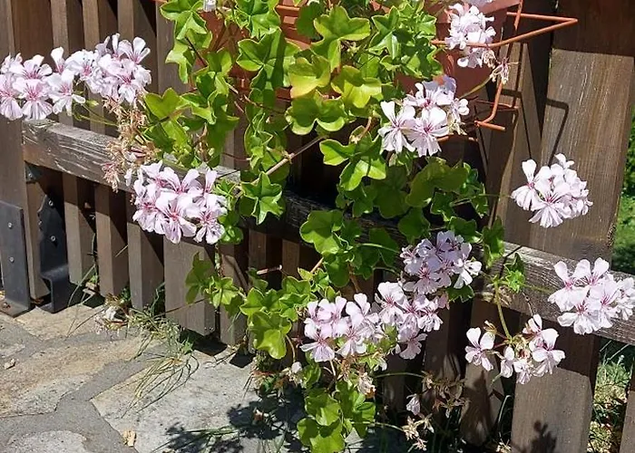 мини комплекс рилски тераси 3*